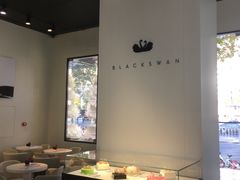 -BLACKSWAN黑天鹅(环球店)