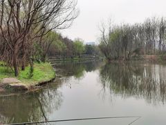 -新江湾城公园