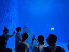 -多彩贵州城极地海洋世界