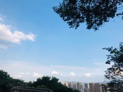 -五条人糖水铺(武林总店)