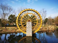 -上海长兴岛郊野公园