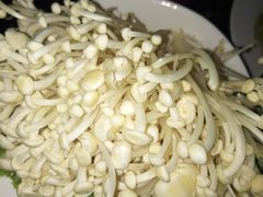 -陈阿婆重庆绿色鱼火锅