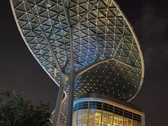 -洪福龙虾