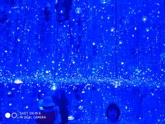 -星空失恋博物馆(双子塔旗舰店)