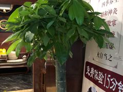 -裕和堂中医推拿艾灸(太古汇臻品店)