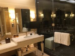 -拉斯维加斯永利酒店