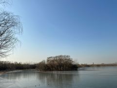 -大兴滨河森林公园