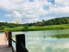 -广西壮族自治区药用植物园