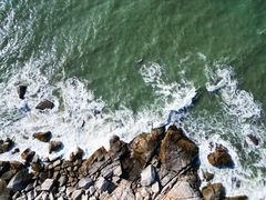 -广东惠东海龟国家级自然保护区