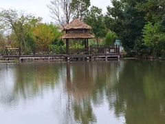 -溱湖国家湿地公园