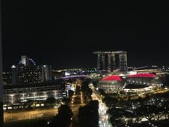 -新加坡瑞士史丹福酒店