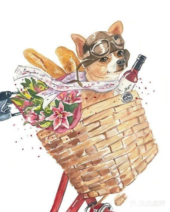 搞怪萌宠🐭进行时🐾