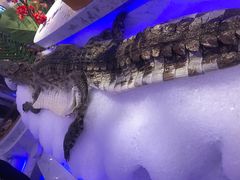 -澜悦港海鲜体验主题餐厅