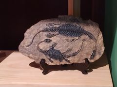 -湖南省地质博物馆