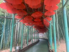 -陶祖圣境风景区