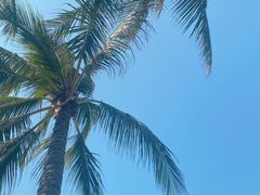 -三亚蜈支洲岛旅游区