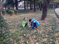 android_upload_pic-八大关景区