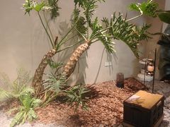 -J Create城市露营咖啡·简餐·宠物(上海动物园店)