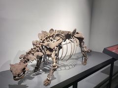 -大连自然博物馆