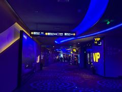 -万达影城(汉街万达广场IMAX店)