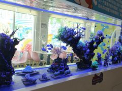 -海合安成都极地海洋公园