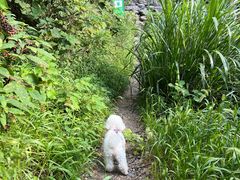 -湖州龙王山景区