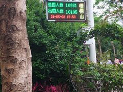 -梧桐山风景名胜区