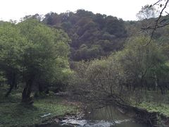 -大水川景区