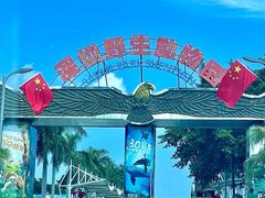 -深圳野生动物园