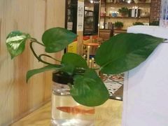 -拿渡麻辣香锅(幸福港湾店)