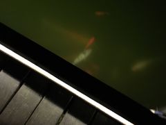 -无锡太悦度假酒店·悦餐厅