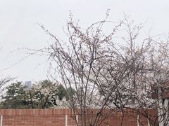 -杭州电子科技大学(下沙校区)