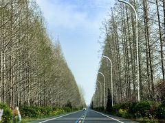 -盐城丹顶鹤湿地生态旅游区