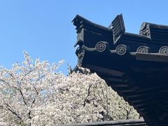 -寒山寺