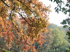 -岳麓山风景名胜区