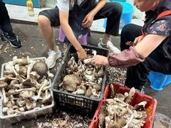 -杨记山珍鸡煲菌汤锅