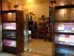 -常州环球恐龙城维景国际大酒店