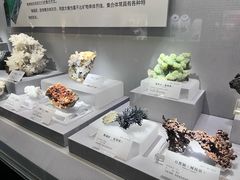-湖南省地质博物馆