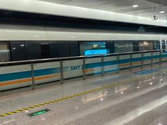 -龙阳路磁悬浮列车总站-停车场