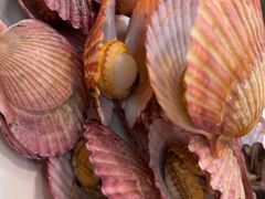 -宾朋海鲜饭庄(兴海路店)