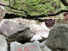 -洛阳白云山景区