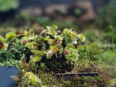 -国家植物园南园