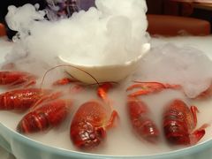 -杨氏青龙虾·羊蝎子(托乐嘉店)