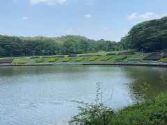 -东莞植物园