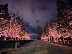 -悦海公园