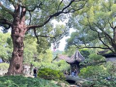 -惠山古镇·寄畅园