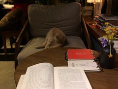 -咖法森林·咖啡  酒吧(天河店)