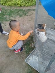 -萌宠亲子动物乐园(槐房万达店)