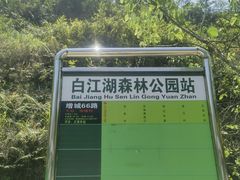 -广州白江湖森林公园