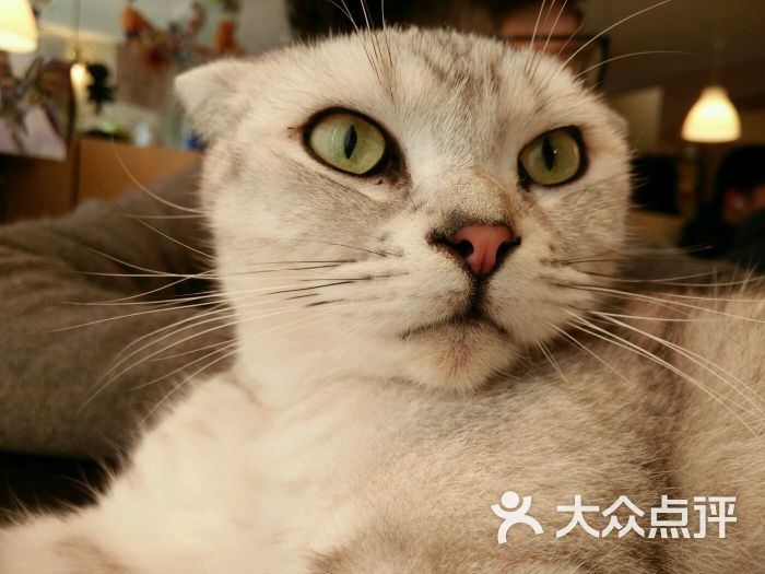 草泥马不是我上传的图片